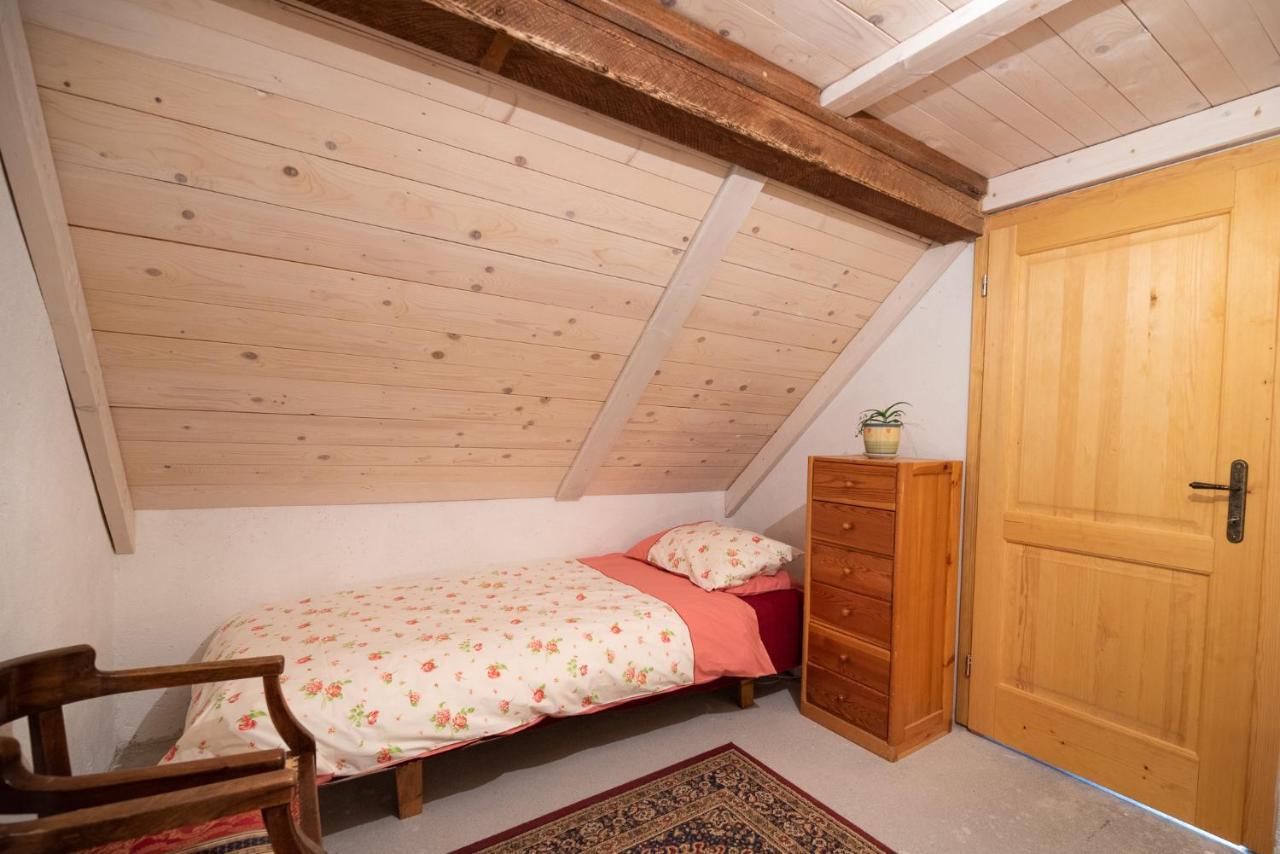 Wild Flower Cottage In Trenta Kültér fotó