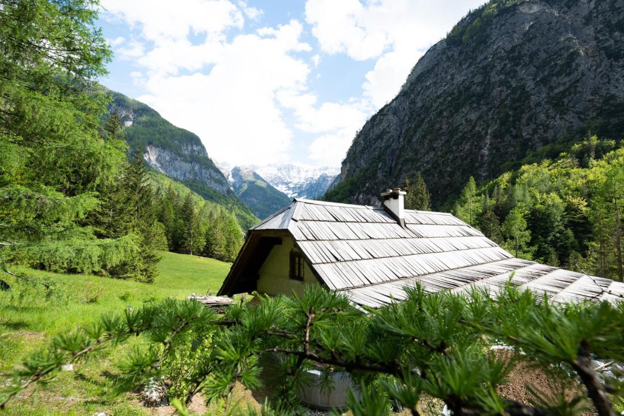 Wild Flower Cottage In Trenta Kültér fotó